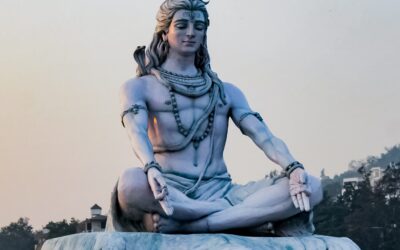 Vasudhalya Initiated its Online Classes of Yoga Practices